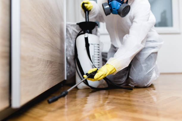 Best Termite Control Services  in Lake Park, GA
