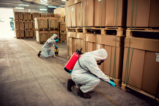Best Wasp Removal Services  in Lake Park, GA