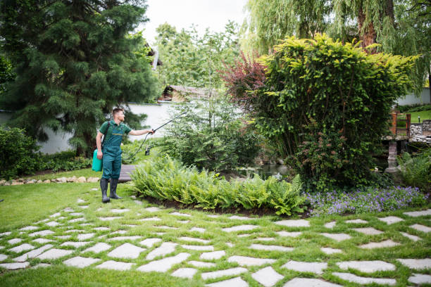 Best Pest Prevention Services  in Lake Park, GA