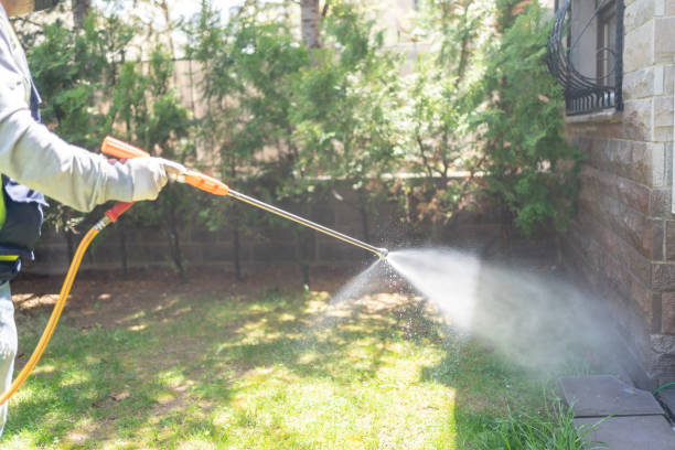Best Affordable Pest Control Services  in Lake Park, GA