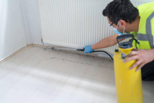Best Pest Removal Services  in Lake Park, GA