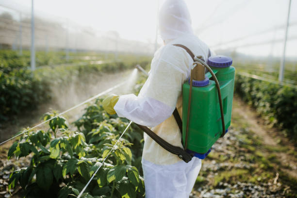 Best Best Pest Control Companies  in Lake Park, GA